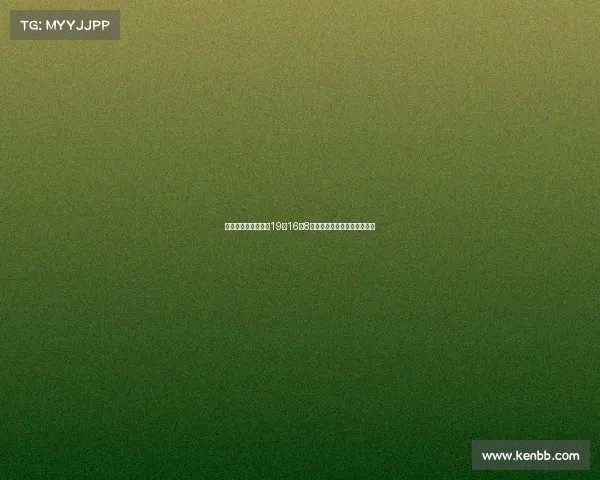 郇斯枫美高个人集锦19分16板8帽精彩表现助力球队逆袭取胜